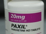 Paxil Bottle Large